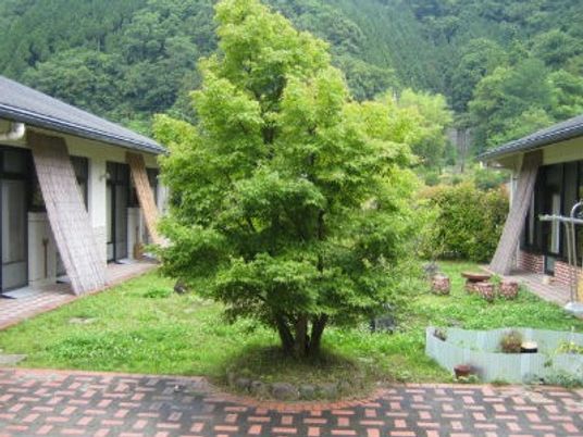 木々が茂る中庭