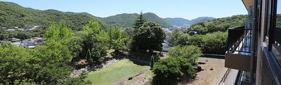 緑豊かな中庭の眺め
