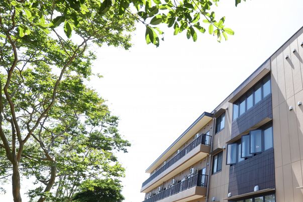 緑に囲まれた建物外観