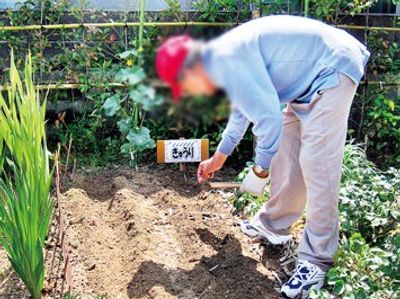 季節の花を育てる庭