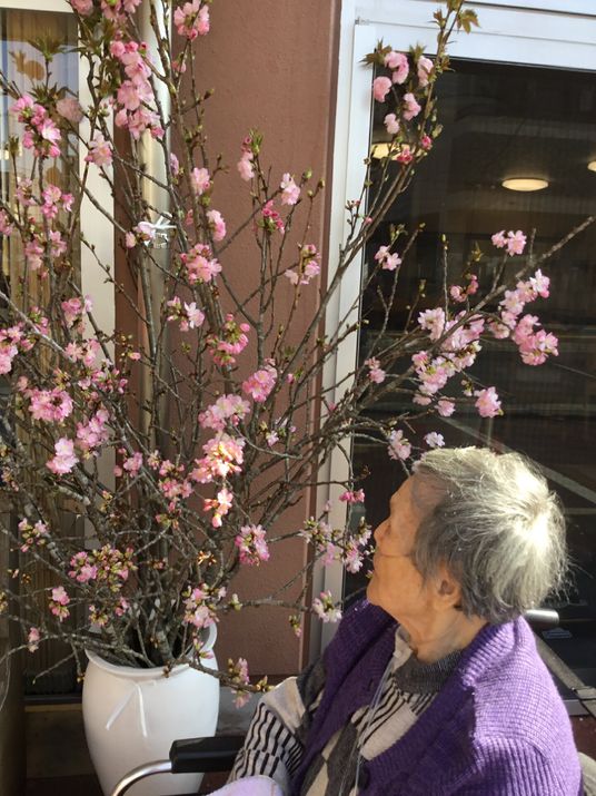 お花見を楽しむ人