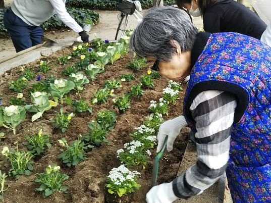 中庭でのガーデニング活動