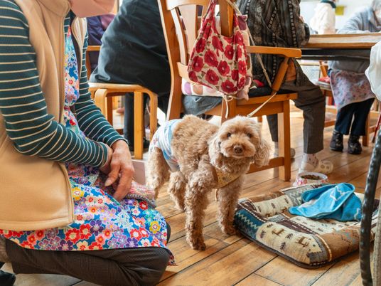 犬と交流する人々の様子