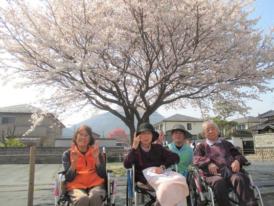 桜の下で笑顔の集合
