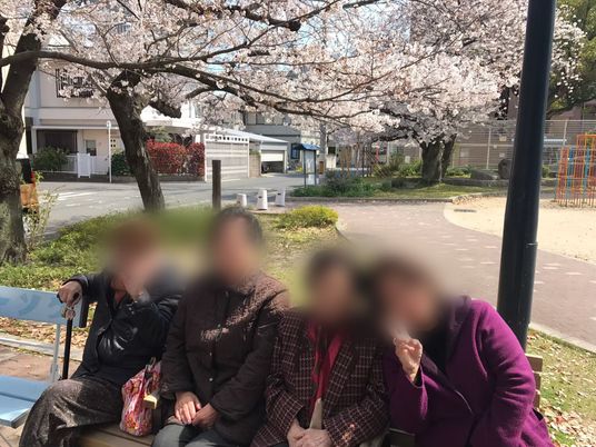 桜の木とベンチ