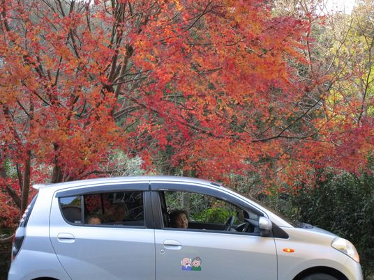 紅葉と車の外観