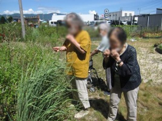 屋外の庭