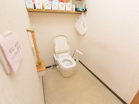 手すり付き清潔なトイレ