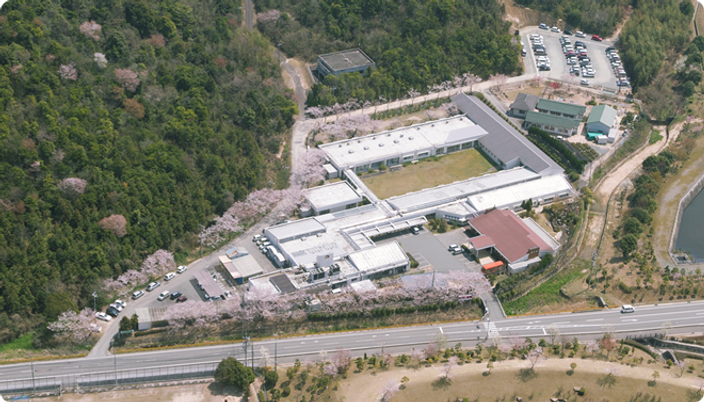 桜に囲まれた建物