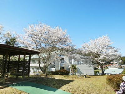 桜並木が美しい中庭
