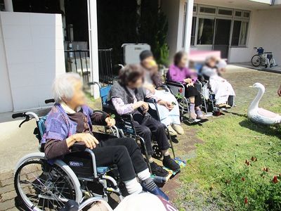 陽だまりの庭
