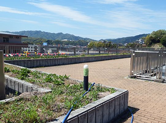 山に囲まれた中庭