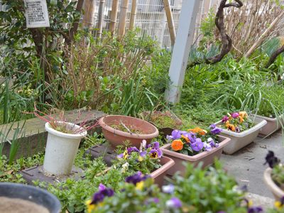 植物に囲まれた中庭