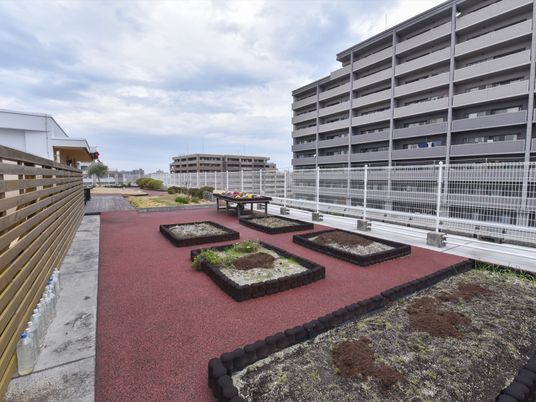 都市型の中庭