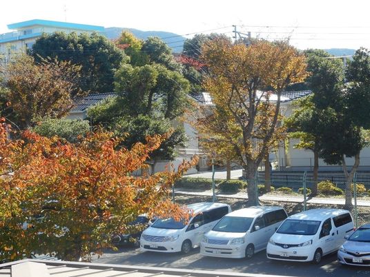 秋の日差しを浴びる施設外観