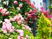 手入れされた花の庭