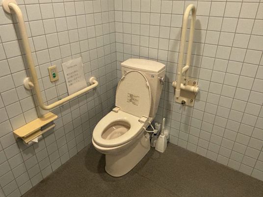 手すり付き清潔なトイレ