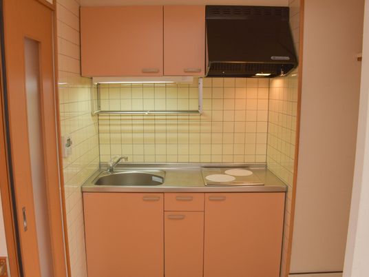 清潔な居室のキッチン