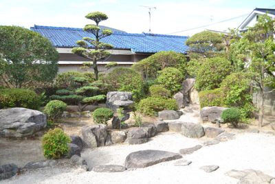 緑に囲まれた庭