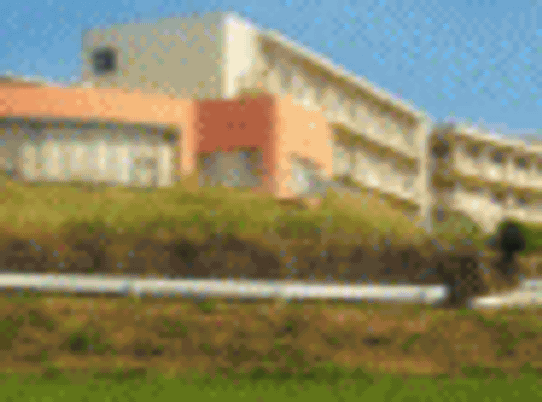 緑豊かな外観