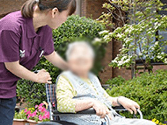 庭の様子
