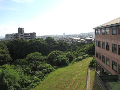 静かな緑豊かな庭