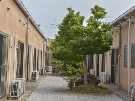 緑豊かな中庭の様子