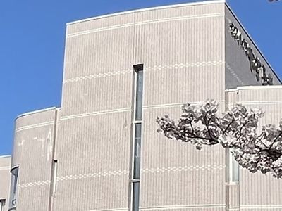 桜が咲く外観