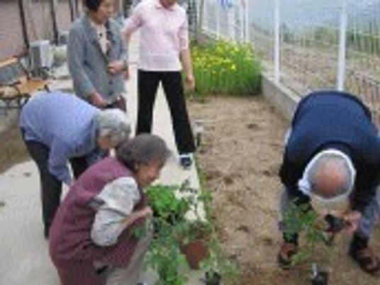 利用者の植物観察活動