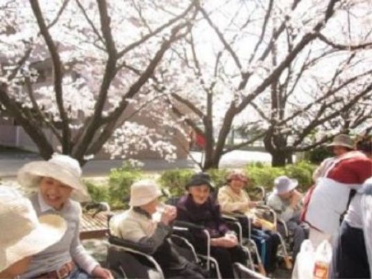 桜の木と笑顔の集い