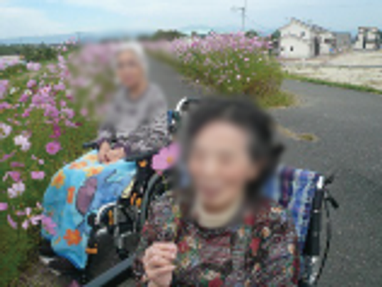 花を楽しむ様子の演出空間