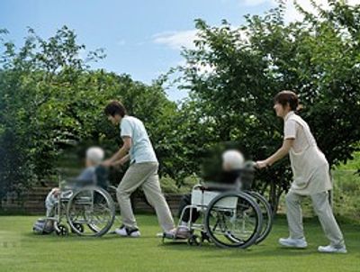 緑の芝生を歩く庭