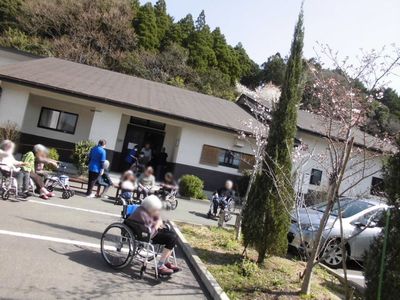穏やかな外観