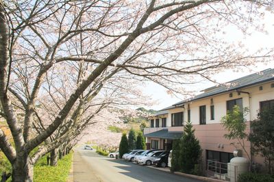 桜並木が美しい外観