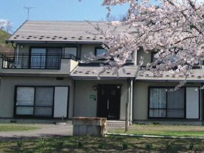 桜が咲く建物外観