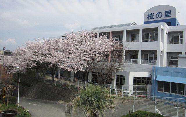 桜のある外観