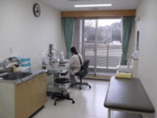 自然光が差し込む居室