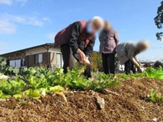 菜園の作業