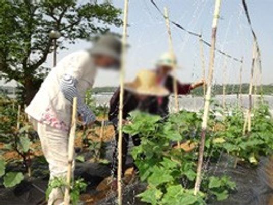 自然を活かした庭