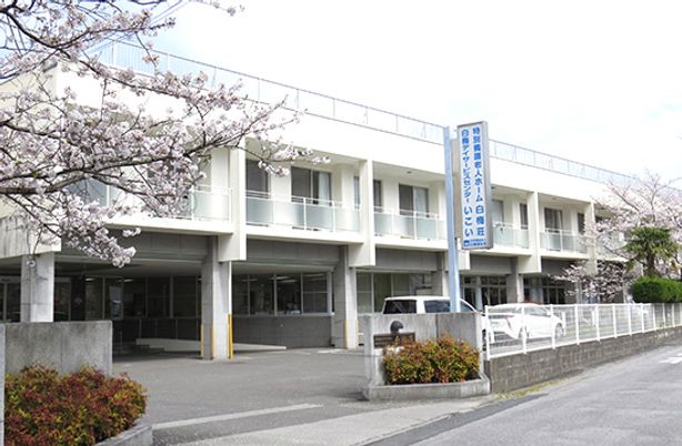 桜咲く建物の外観