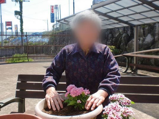 花を育てる様子の庭