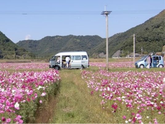 花畑での外出風景