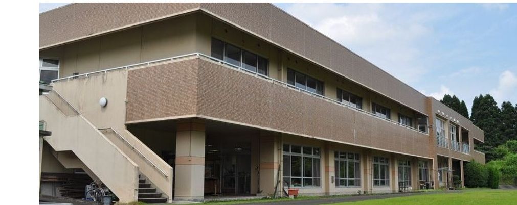 緑に囲まれた建物の外観