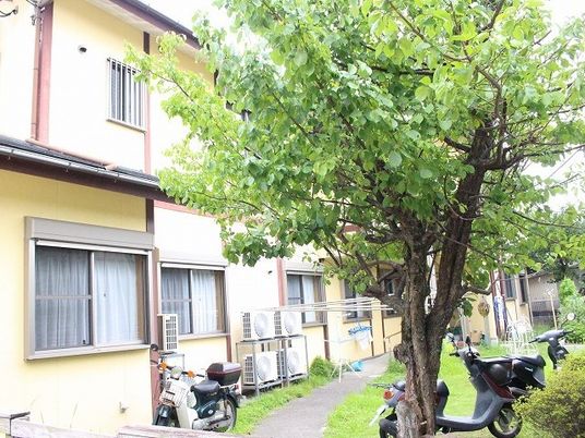 緑に囲まれた建物風景