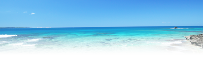 透き通る青い海の風景