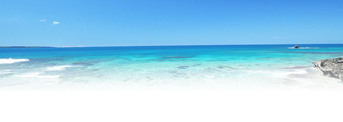 透き通る青い海の風景