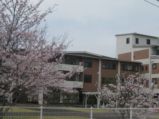 桜前線と共にする施設