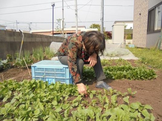 野菜を手入れする女性