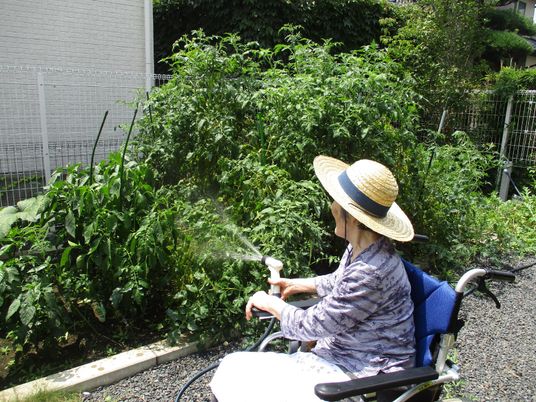 車椅子の方が植物に水やり