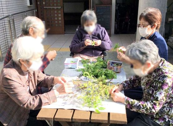 植物を楽しむテーブル